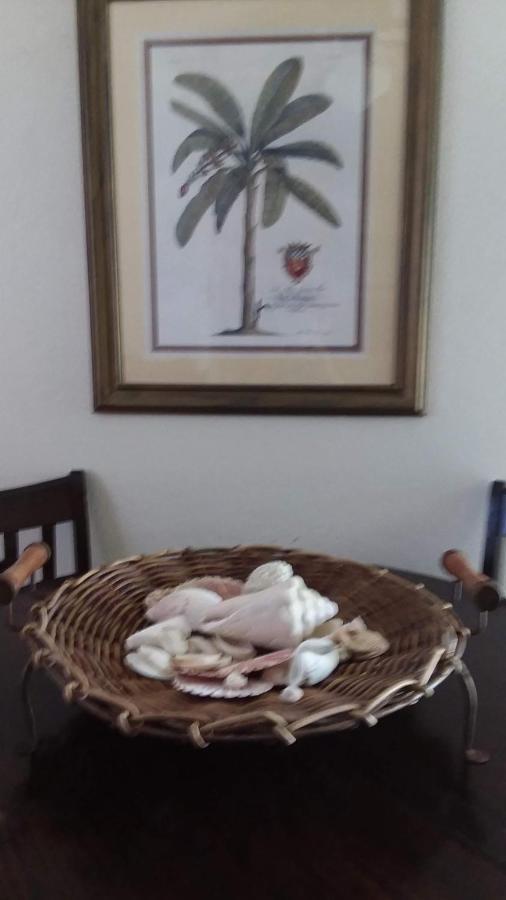 Casa De Tortuga Guesthouse Βιέκες Εξωτερικό φωτογραφία