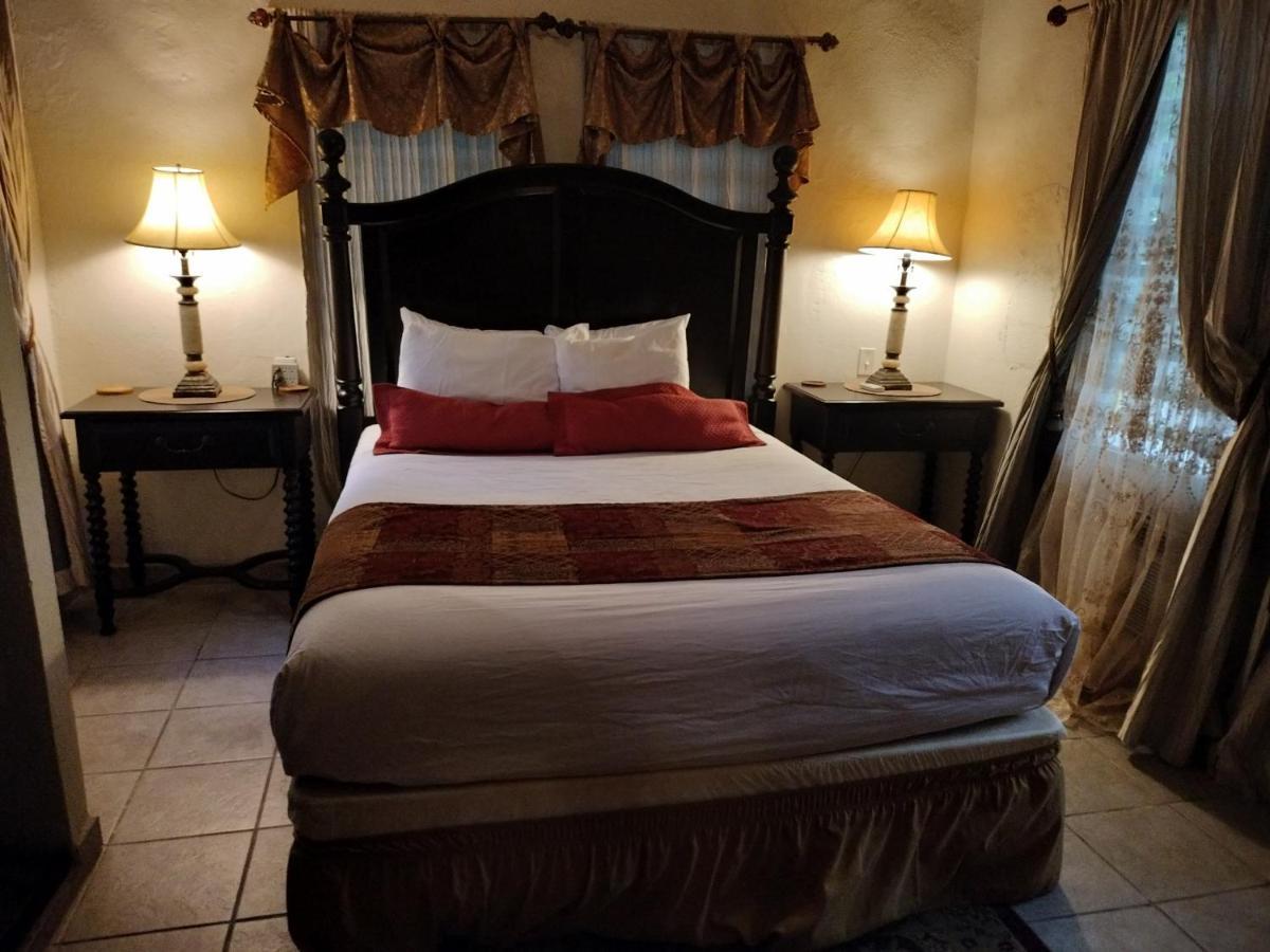 Casa De Tortuga Guesthouse Βιέκες Δωμάτιο φωτογραφία