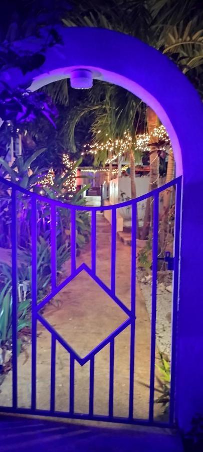 Casa De Tortuga Guesthouse Βιέκες Εξωτερικό φωτογραφία